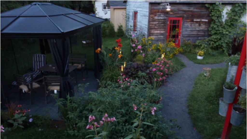 Gite Aux Goglus Saint-Jean-des Piles Exterior foto